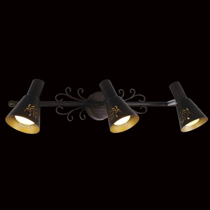 Citilux Duncan CL529531 Swivel Spot Brown