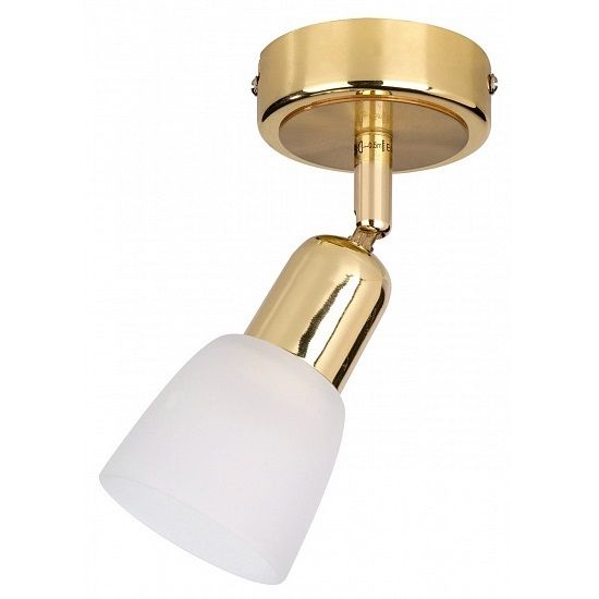 Spotlight Escada 5039/1PA E14*40W Gold/White