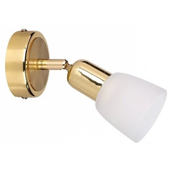 Spotlight Escada 5039/1PA E14*40W Gold/White