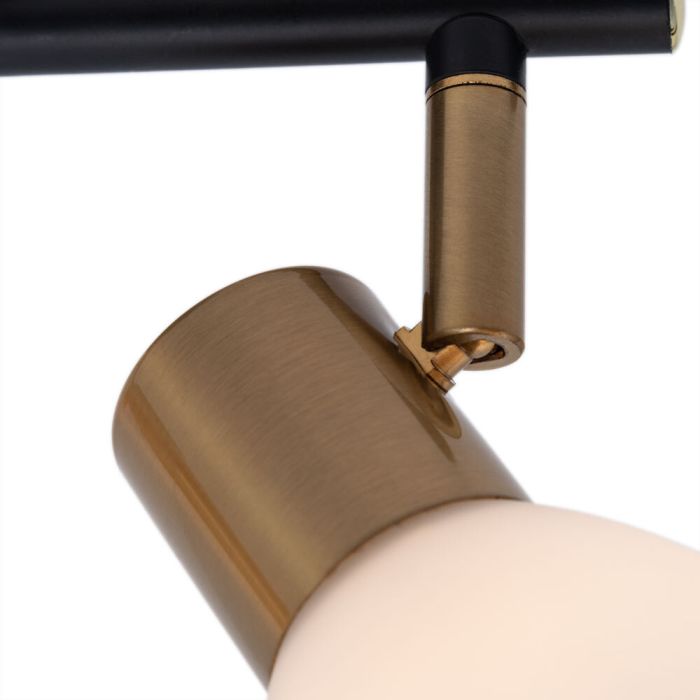 Spotlight Arte Lamp FALENA A3117PL-2BK