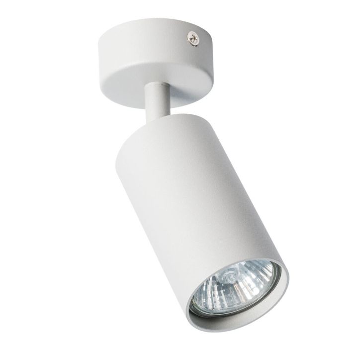 Spot Arte Lamp AQUARIUS A3216PL-1GY