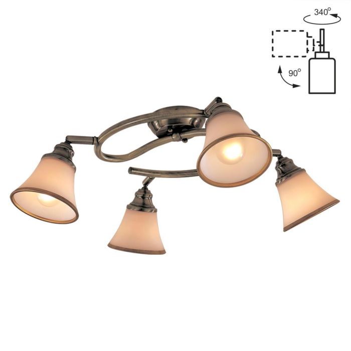 Citilux Provence CL511143 Swivel Spot Bronze