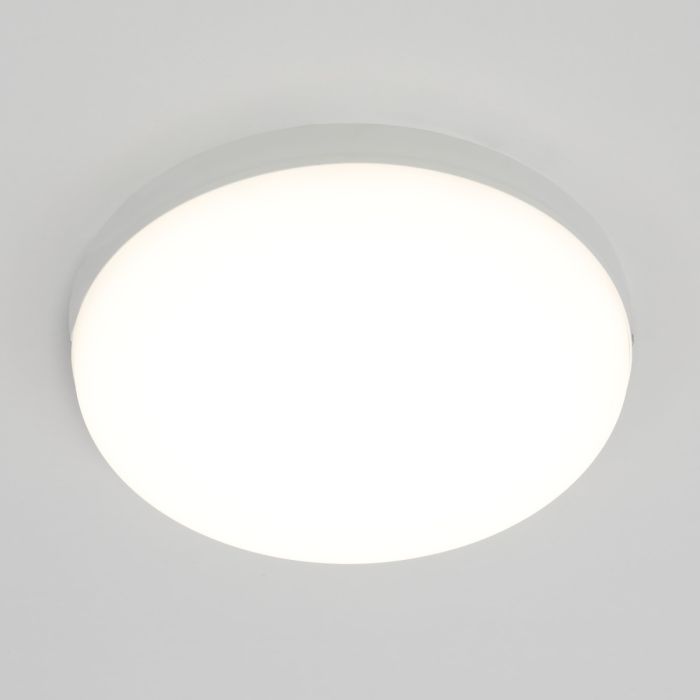 Citilux Lumen CL707021 LED Weatherproof Light Fixture