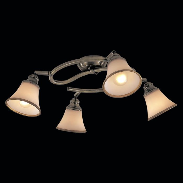 Citilux Provence CL511143 Swivel Spot Bronze