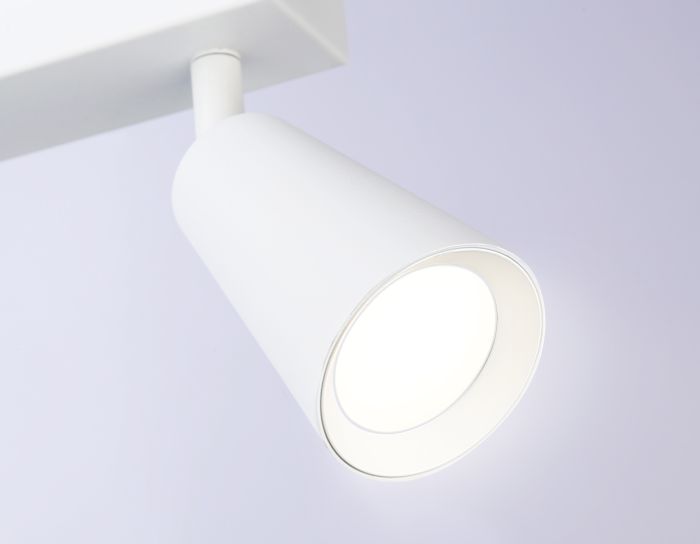 Overhead luminaire TA13145/2 WH white GU10/2 max 12W 295*60*130