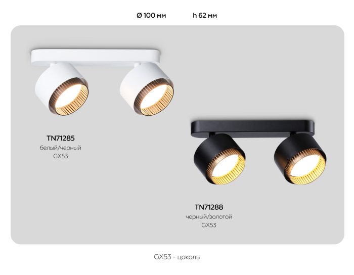 Overhead luminaire TN71285/2 WH/BK white/black GX53/2 max 12W 270*95*137